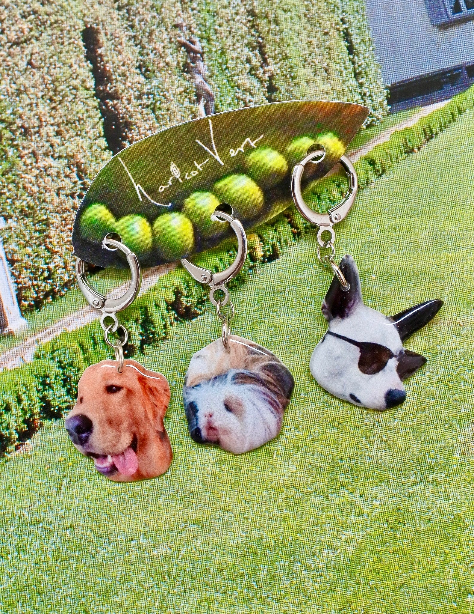 Thumbnail 5